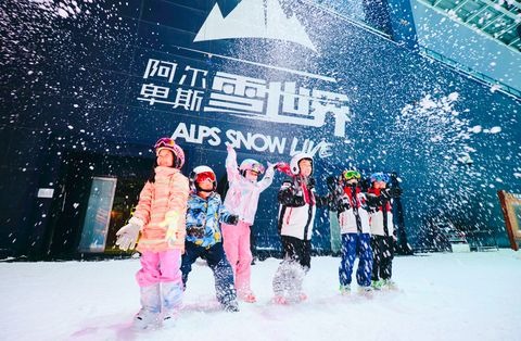 太仓阿尔卑斯国际度假区2026门票价格、游玩攻略