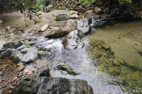 醉山野景区2026门票价格、游玩攻略