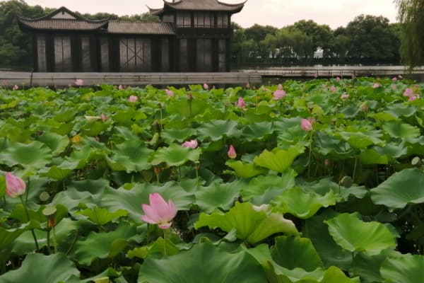 灵隐飞来峰景区2026门票价格、游玩攻略