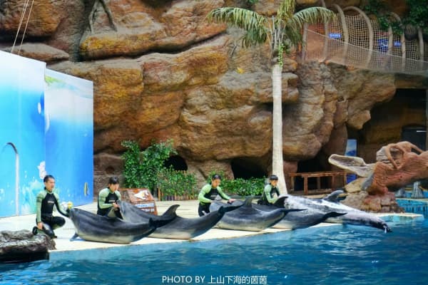 杭州长乔极地海洋公园2026门票价格、游玩攻略