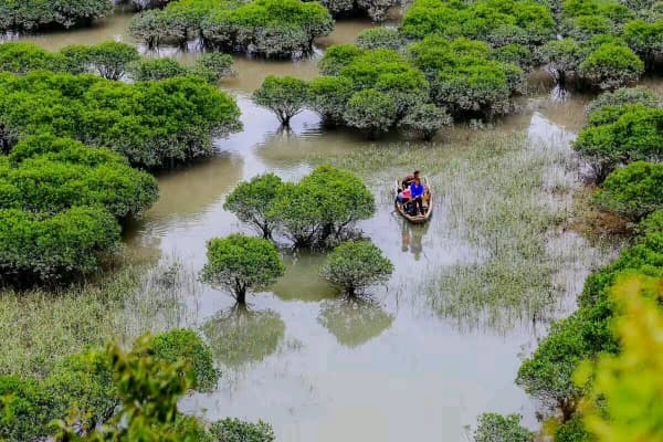 北岐滩涂2026门票价格、游玩攻略