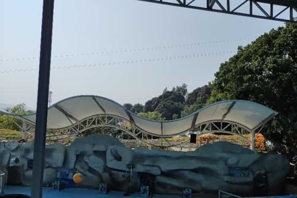 泉州海丝野生动物世界2026门票价格、游玩攻略