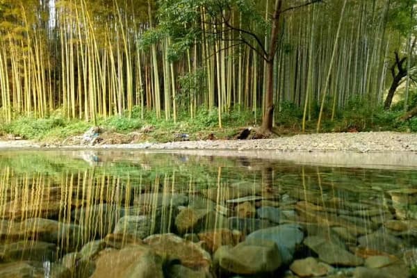 月亮湾风景区2026门票价格、游玩攻略