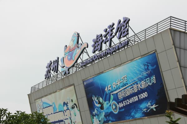 苏州海洋馆2026门票价格、游玩攻略