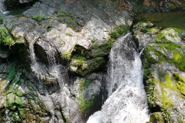 仙寓山景区2026门票价格、游玩攻略