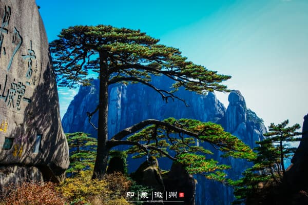 迎客松2026门票价格、游玩攻略