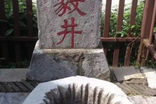 启园2026门票价格、游玩攻略